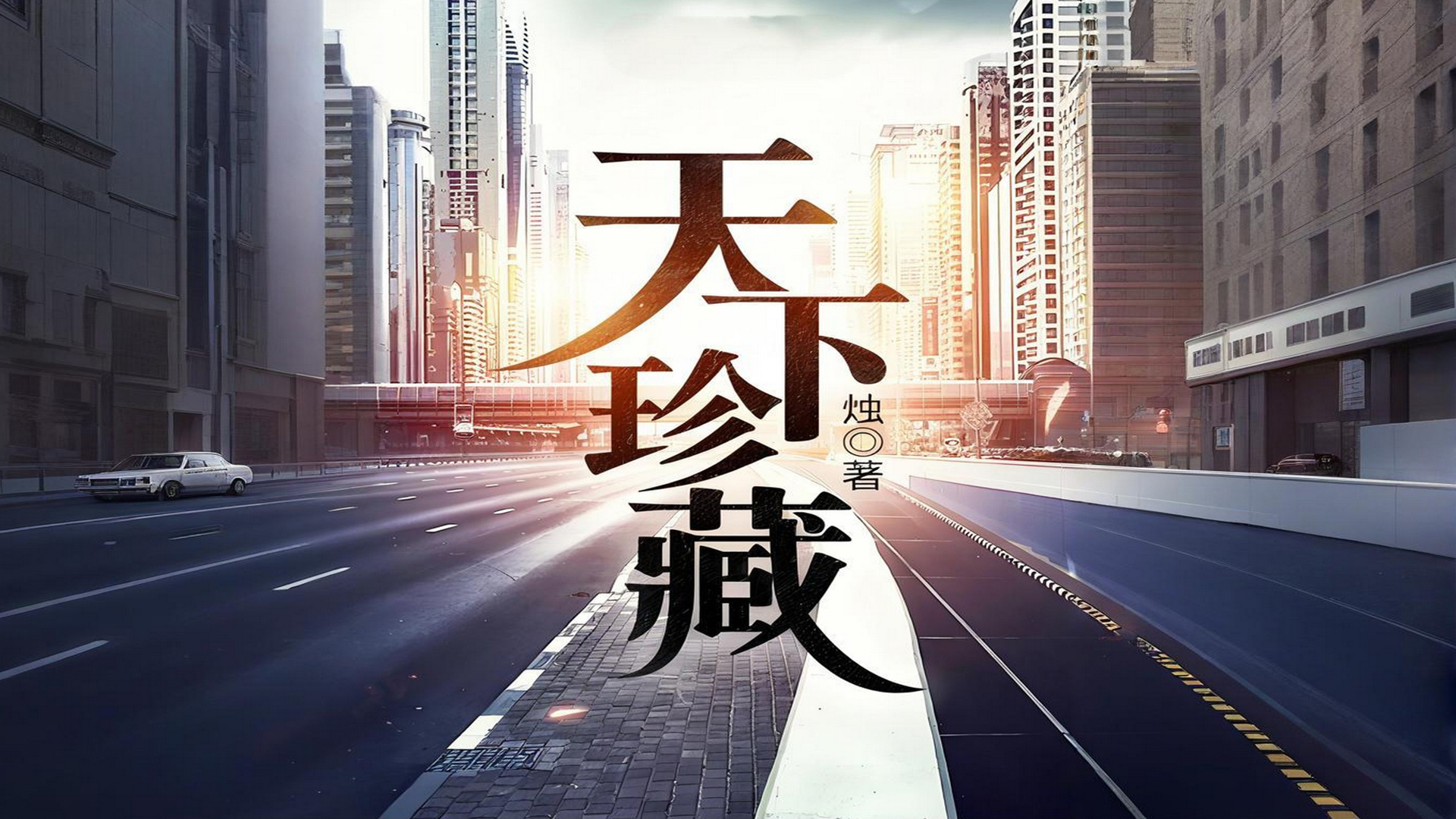 天下珍藏